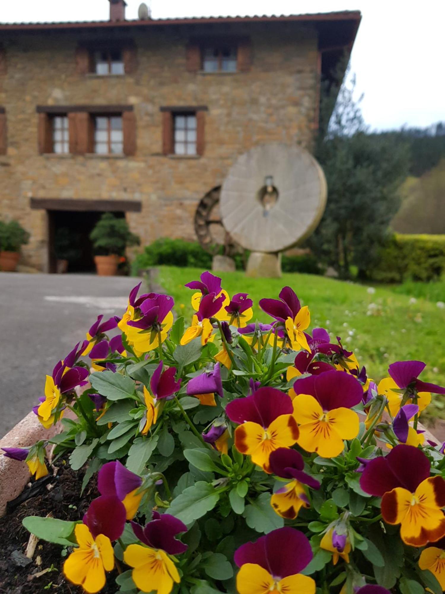 Agroturismo Iberreko Errota Muxika Zewnętrze zdjęcie